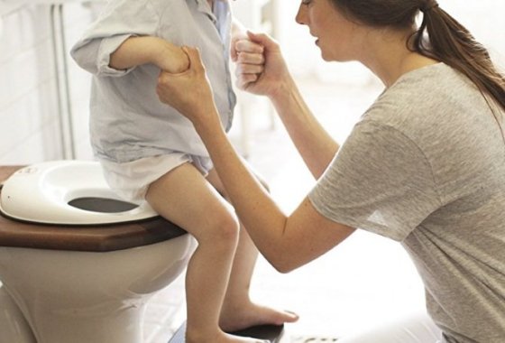 Best Potty Training Seats