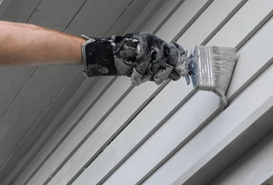 Best Exterior House Paints