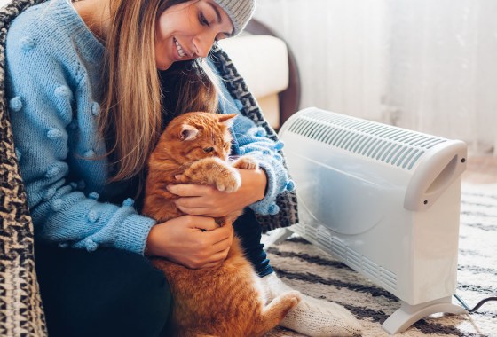 With temperatures dropping, here are the best indoor electric heater picks for large rooms