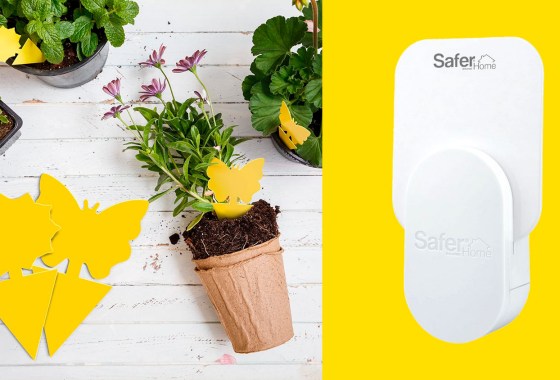 These bestselling gadgets will kill fruit flies for good
