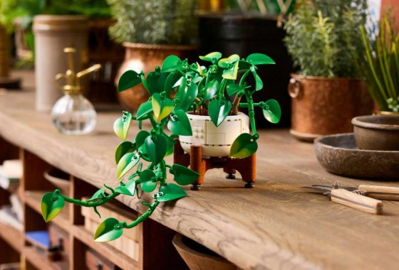 LEGO adds new flowers to its coveted ‘Botanicals’ collection