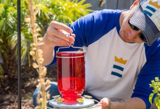 The best garden decor for any space