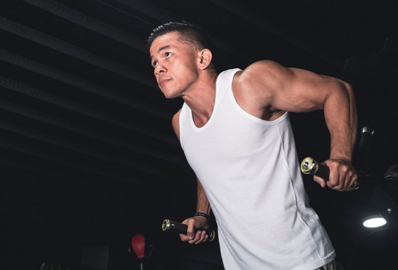 Best wall-mount dip station