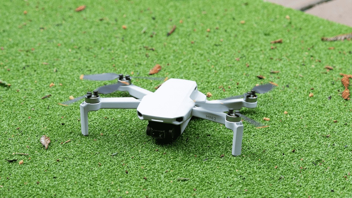 Using DJI Mini 2 in the garden Using DJI Mini 2 in the garden