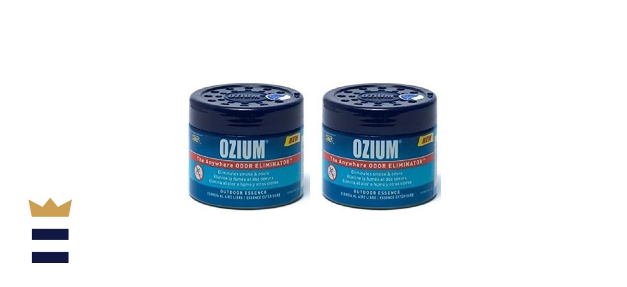 Ozium Smoke &amp; Odors Eliminator Gel