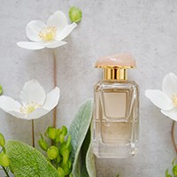 cologne surrounded with flowers