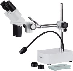 AmScope Binocular Stereo Microscope