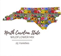 Eden Brothers North Carolina Wildflower Mixed Seeds