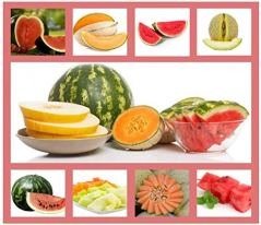 Heirloom Fruit Seeds Melon Variety Pack