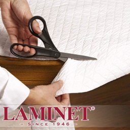 LAMINET