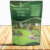 Outsidepride Hybrid Bluegrass Seeds