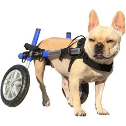 Walkin' Wheels