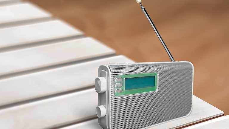 5 Best AM Radios - Sept. 2025 - BestReviews