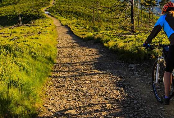 Best Women's Schwinn Bikes