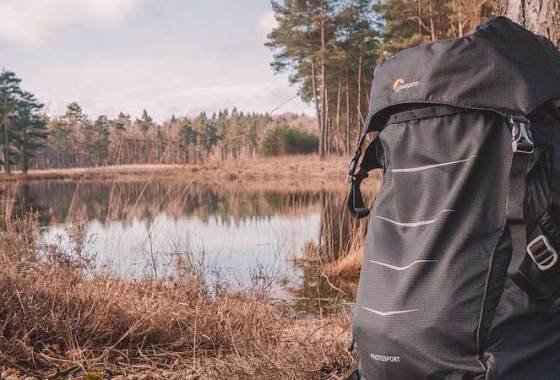 Best Ozark Trail Backpacks