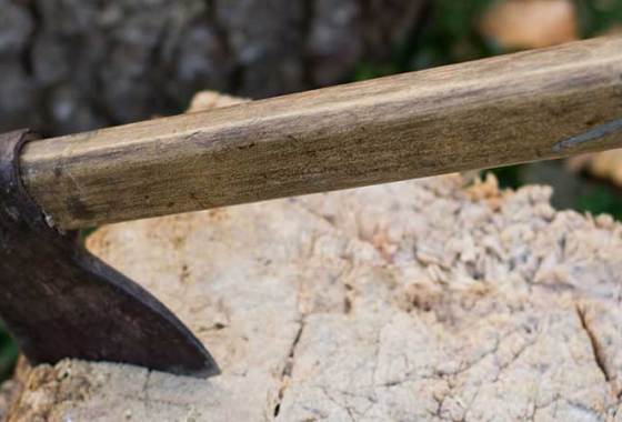 Best Carpenter's Hatchets