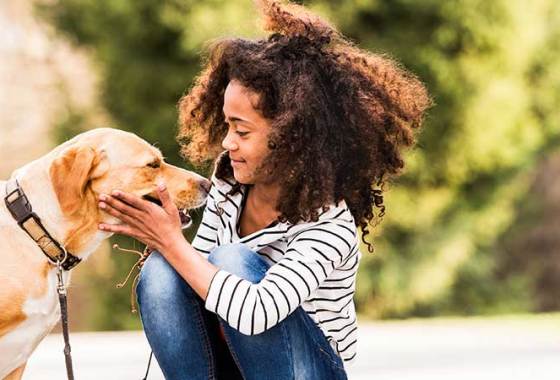 Best Bug Repellents for Pets
