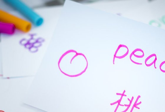Best Index Flash Cards