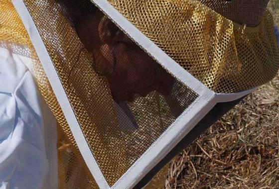 Best Beekeeper Suits