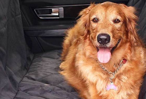 Best Car Seat Covers for Pets