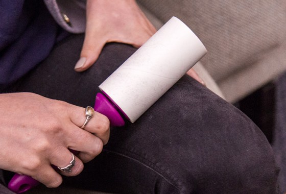 Best Lint Rollers for Pet Hair