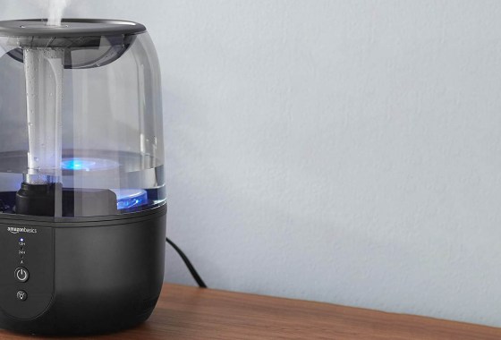 Best Mini Humidifiers