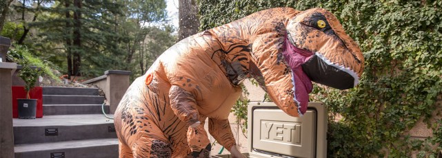 Best Inflatable Costumes