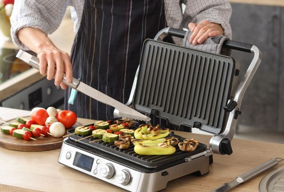 Best Indoor Grills