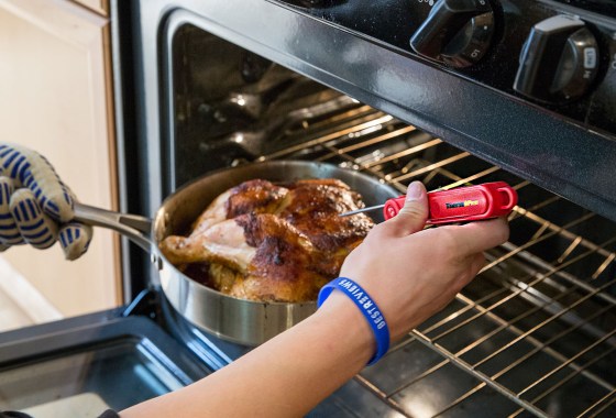 Best Meat Thermometers
