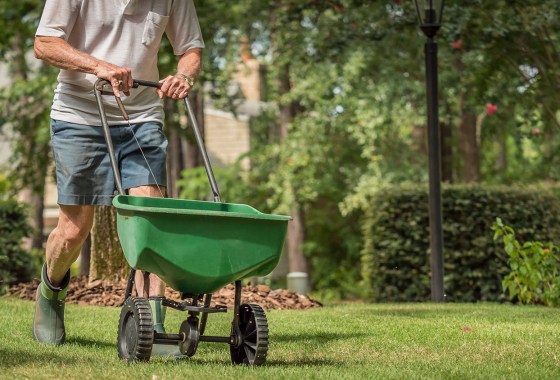 Best Pre-Emergent Herbicide