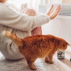 9 best radiant heaters for chilly winter months