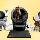Self-cleaning litter boxes that are definitely worth the money