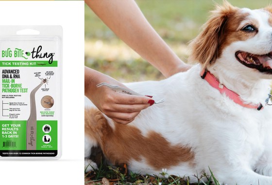 The Bug Bite Thing just launched a tick testing service