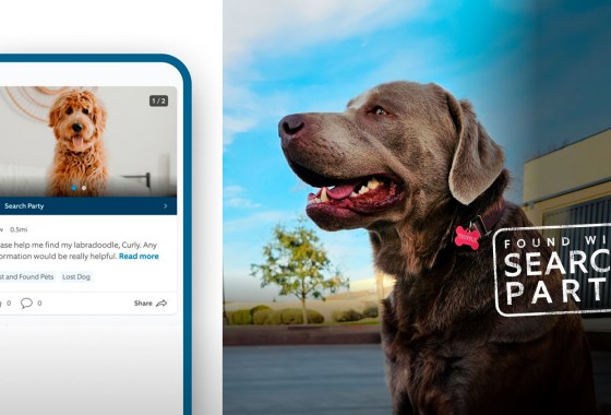 How to use Ring’s ‘Search Party’ to find a lost pet (as seen in the Super Bowl ad)