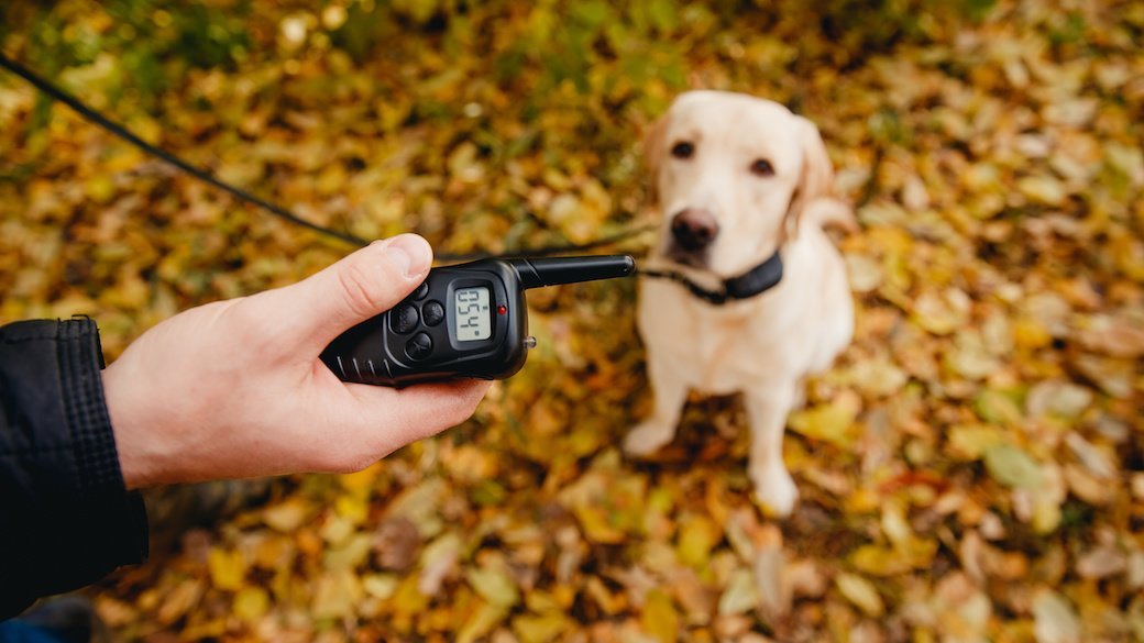 what is the best ultrasonic dog bark control