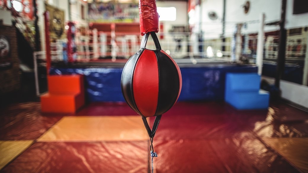 5 Best DoubleEnd Striking Bags Sept. 2020 BestReviews