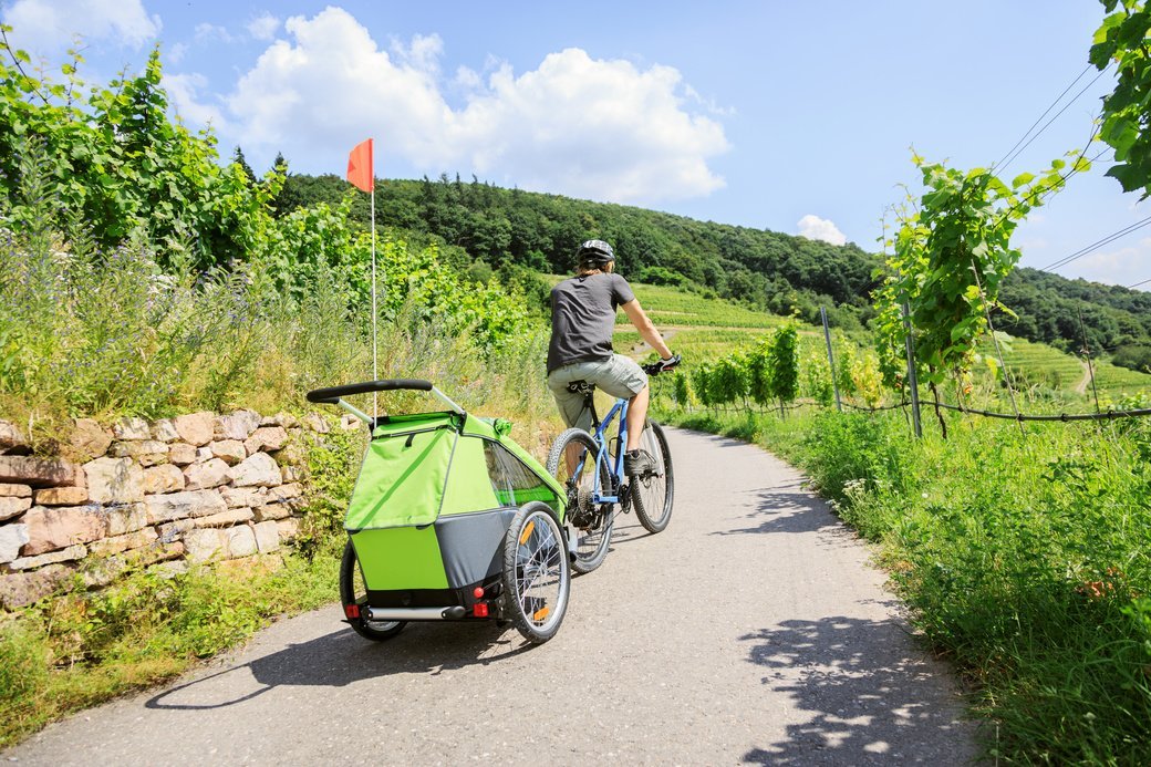 Buying Guide: Bike trailers