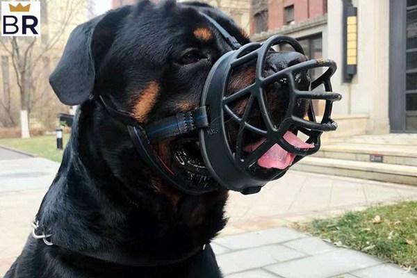 a safe dog muzzle