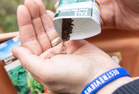 Sow your seeds successfully with 7 best seeders