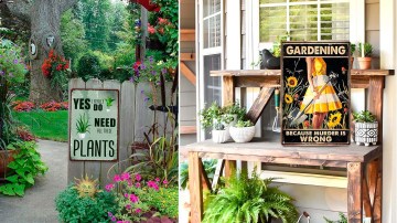 https://cdn3.bestreviews.com/images/v4desktop/image-full-page-765x430/feature_funny-garden-signs.jpg