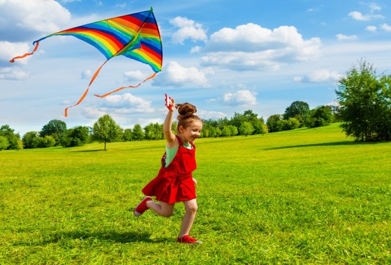 Best kite on Amazon