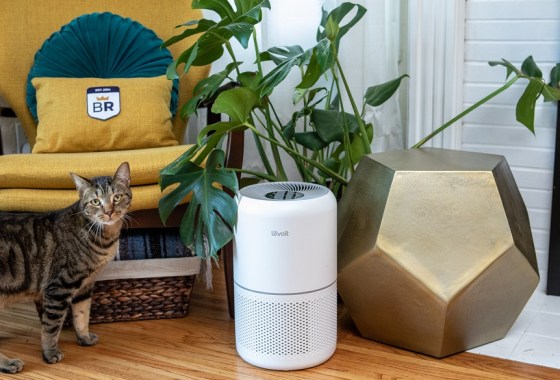 Levoit air purifier review