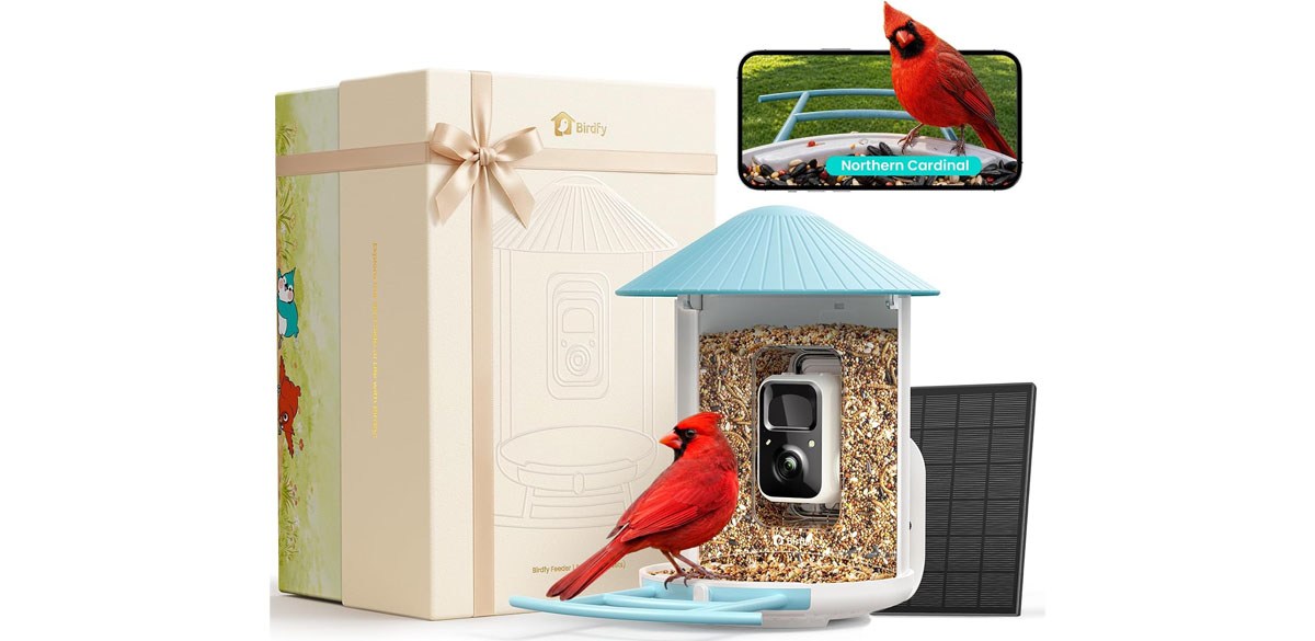 Birdfy Bird Feeder