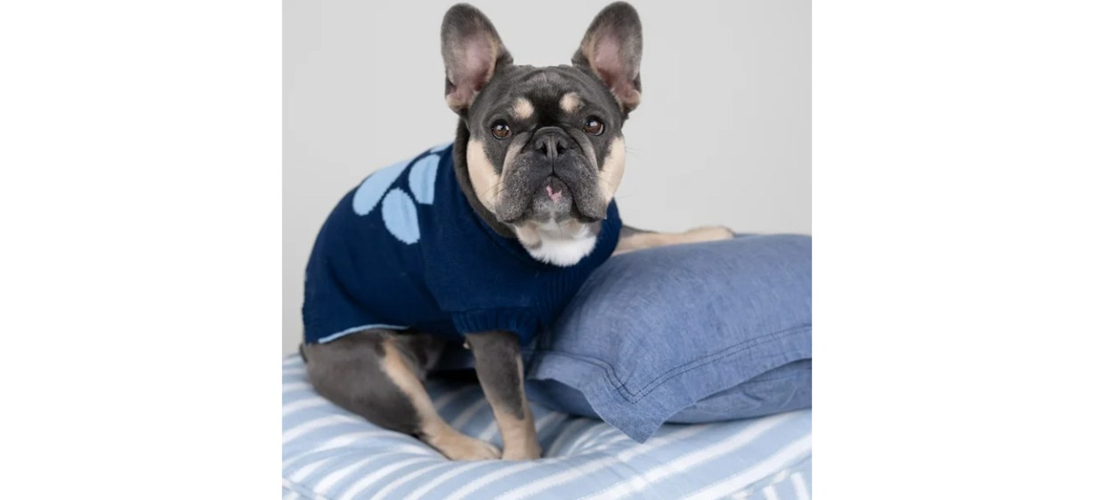 Classic Gap Logo Paw Print Pet Sweater, Blue