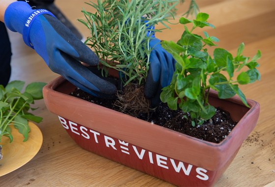 The best hydroponic garden system