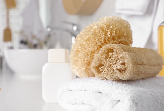 Best natural loofah