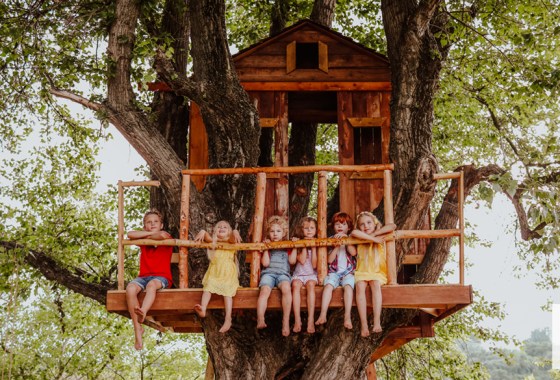 Want to build a treehouse? Here's everything you'll need
