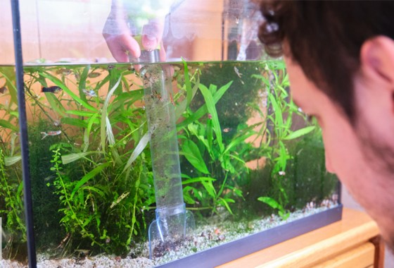 Best fish tank cleaner