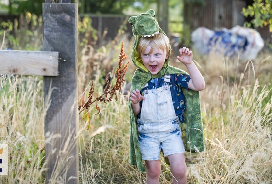 Best toddler dinosaur costume