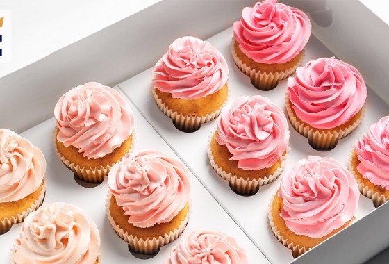 Best cupcake carrier